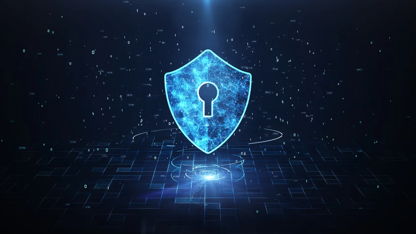 privacy illustration